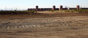 El Parque forestal de Villaverde, esquilmado