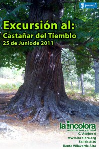 Próxima excursión planificada al Castañar del Tiemblo